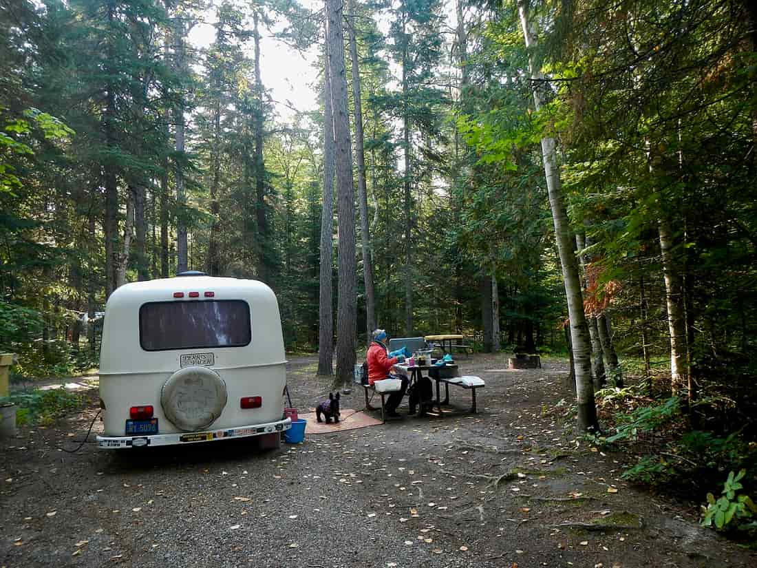 A travel trailer set up at a wooded campsite